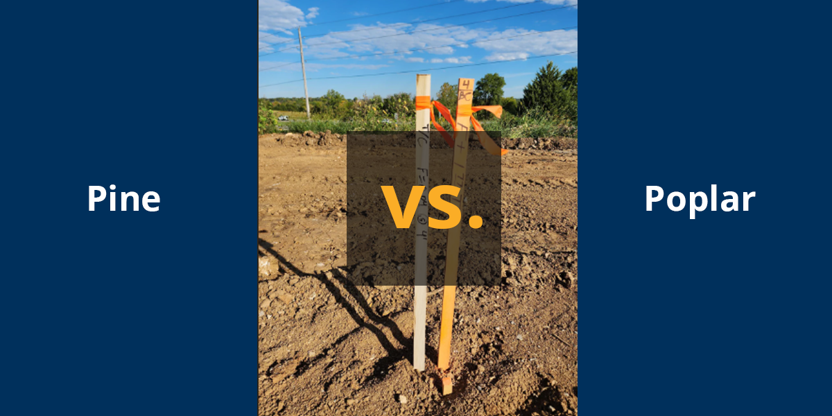 pine vs poplar stakes for land surveying